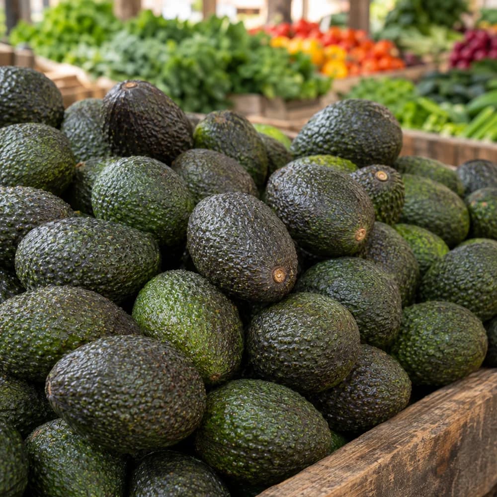 Avocado
